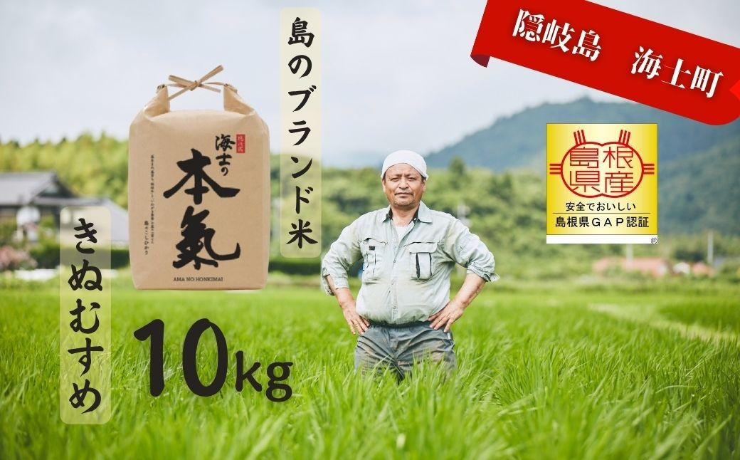 
                  【令和7年度産 本氣米10kg：きぬむすめ】甘くてもっちり島のブランド米 本氣米 きぬむすめ お米 精米 白米 弁当 ごはん ご飯 おにぎり  ギフト
                