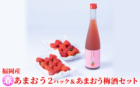 いちご あまおう 2パック (500ml×1本) 春 ＆あまおう梅酒 お酒 いちご