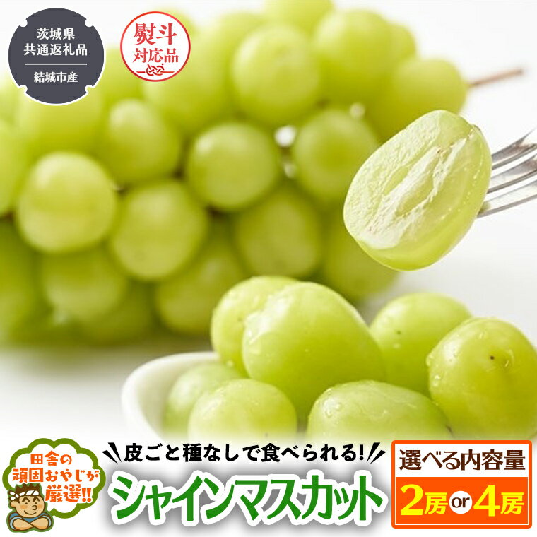【ふるさと納税】＼ 選べる房数・熨斗対応 ／ シャインマスカット 2房 or 4房 【2025年7月から発送開始】 （茨城県共通返礼品 [ぶどう]：結城市産） 田舎の頑固おやじが厳選！ マスカット 種なし 高糖度 ギフト お中元 甘い 美味しい フルーツ ぶどう