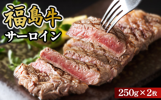 福島牛サーロイン250g×2枚 冷凍 自慢の逸品 [№5771-1289]