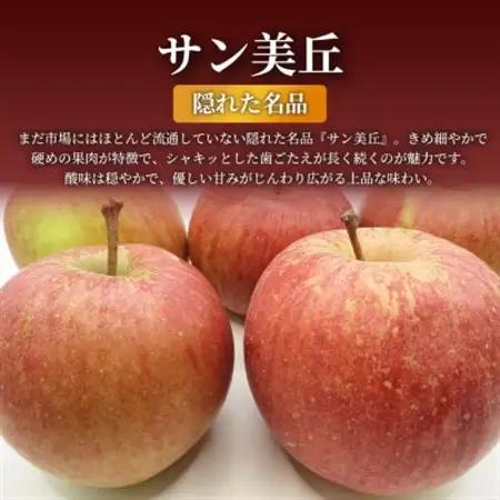 【青森直送 季節の味覚をお届け!】サン美丘 3個入×5箱(贈答用)青森産 産地直送 限定生産【配送不可地域：離島】【1700958】