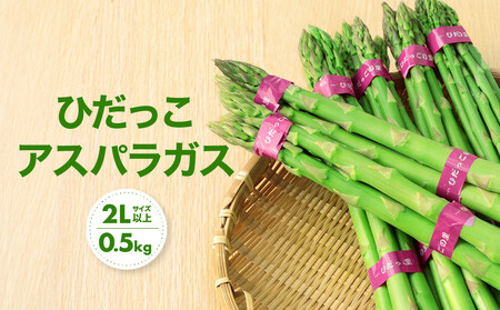 【2026年発送・先行受付】2Lサイズ以上 ひだっこアスパラガス 0.5kg | 産地直送 春 夏野菜 採れたて アスパラガス CM003VC01