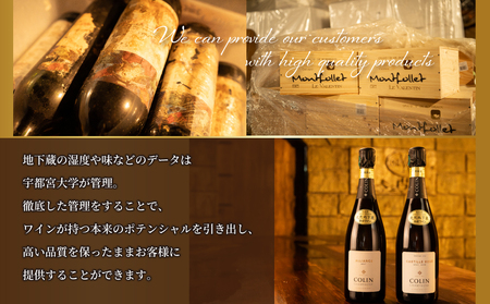 大谷の天然地下蔵で深みを増すワイン 赤 2本セット【 赤ワイン お酒 飲み比べ セット ギフト 栃木県 宇都宮市 】※配送不可地域：離島