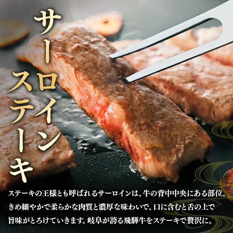 飛騨牛 A5～4等級 贅沢セット (A01-021)