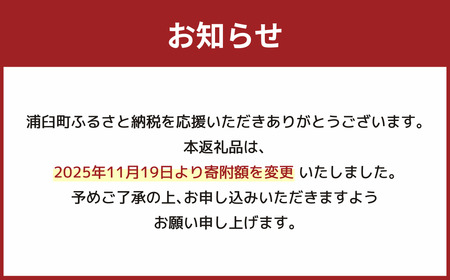 〈令和7年産〉浦臼産 ななつぼし 精白米 10kg （5kg×2袋） 【2026年1月下旬-8月下旬迄順次発送予定】 令和7年 米 お米 こめ コメ ブランド米 ごはん ななつぼし 精米 白米 10k