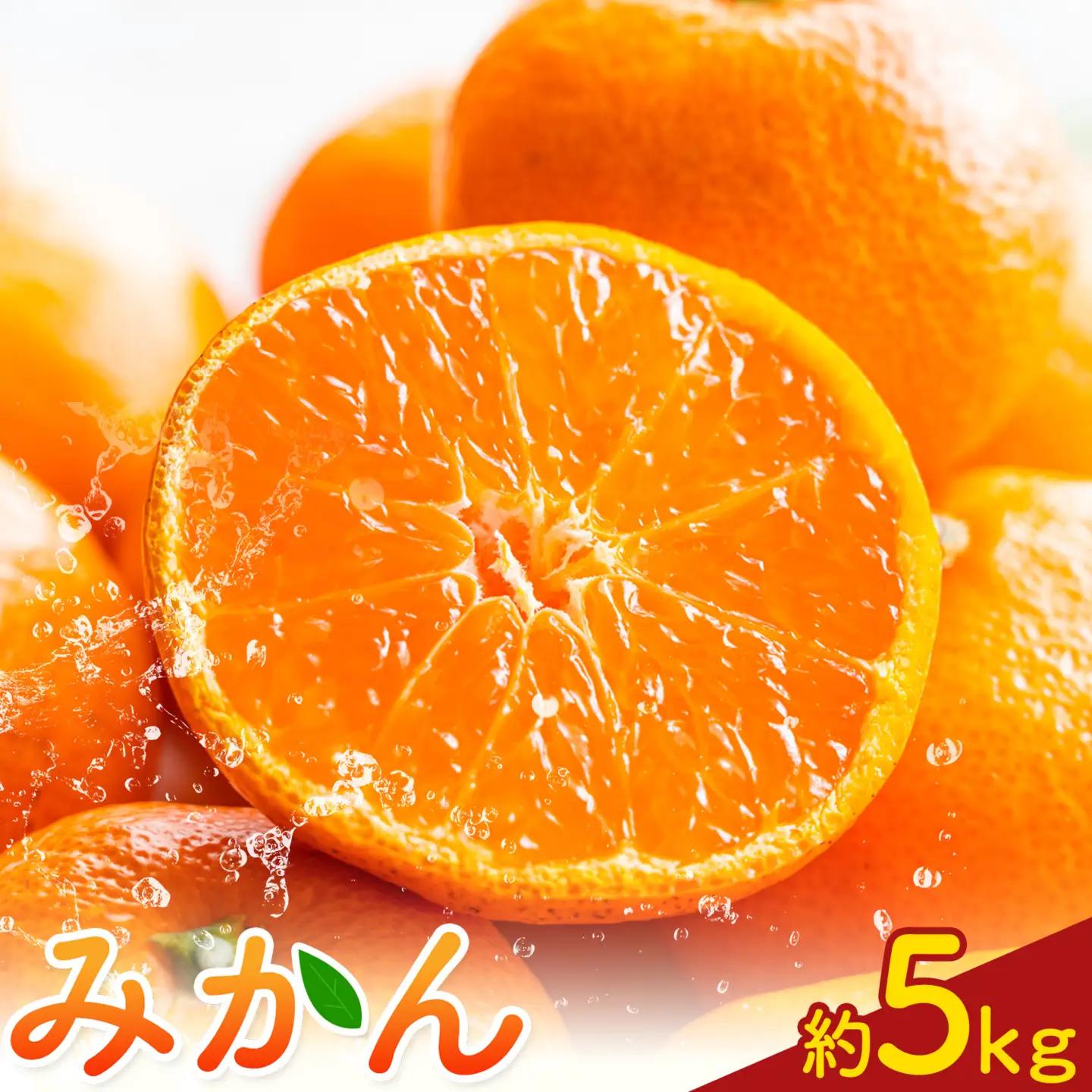 みかん5kg 高橋商店《10月下旬-1月中旬頃出荷》
