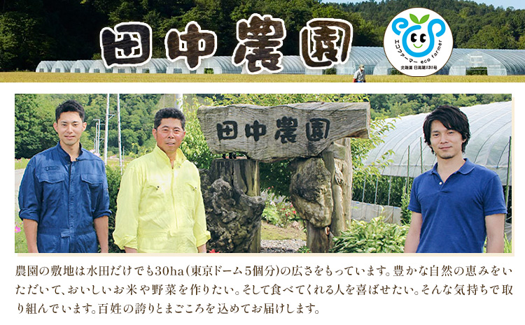 令和7年産 ゆめぴりか 5kg 5kg×1袋 田中農園《90日以内に出荷予定(土日祝除く)》北海道 日高町 米 白米 精米 お米 北海道日高町