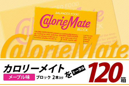 【6回定期便】≪メープル味≫ カロリーメイトブロック 2本入り 計20箱 ×6回 合計120箱【定期便 徳島 那賀 大塚製薬 カロリーメイト メープル ビタミン ミネラル たんぱく質 脂質 糖質 5大
