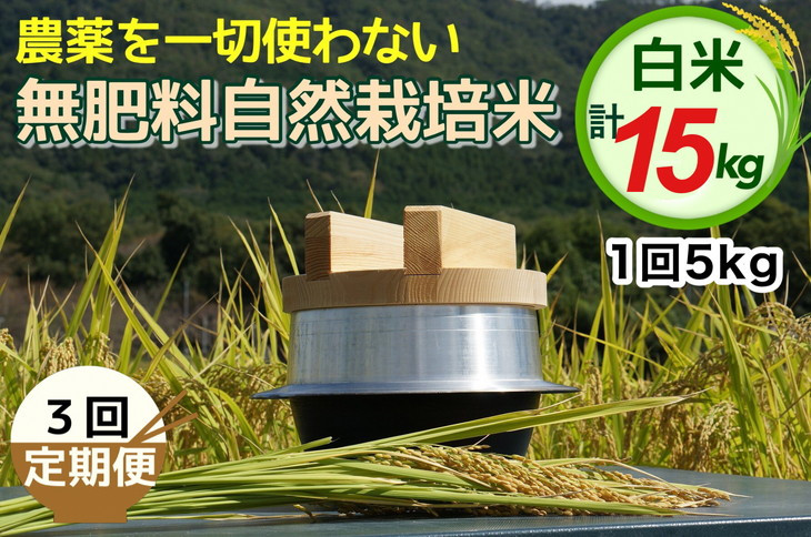 
【3回定期便】自然栽培米 にこまる ＜農薬を一切使わない無肥料栽培＞ 白米 5kg × 3ヶ月 計15kg（精米したて）《令和4年産 京都丹波産 無農薬米栽培向き 厳選品種》
