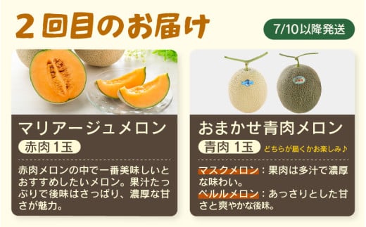 【先行予約】≪定期便/全3回≫フルーツ王国あわらのこだわり5品 農家直送 厳選品／ 期間限定 果物 フルーツ 青肉メロン 赤肉メロン 西瓜 とうもろこし 産地直送 ※2027年6月中旬より順次発送 [aw039-c002]