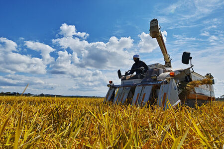 《令和8年産  新米先行受付》《定期便8ヶ月》秋田県産 あきたこまち 10kg(10kg×1袋)×8回【白米】計80kg [新米 あきたこまち 10kg 秋田県産 米 秋田県産 国産]