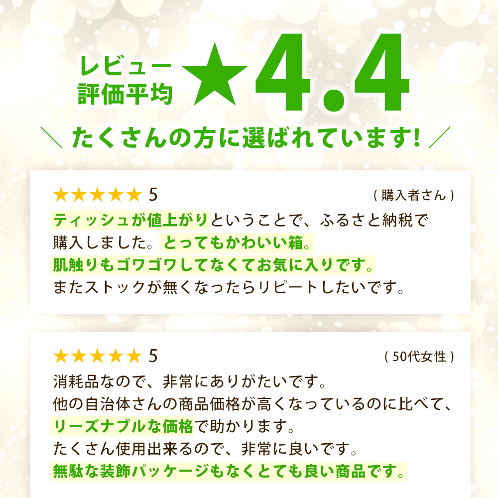 MH140-0153_【ふるさと納税】 ティッシュ ティッシュペーパー 「 大容量 プラムファッション BOXティッシュ 4パック（ケース20個入り） 定期便 全6回(毎月)」 [ 常備品 生活用品 