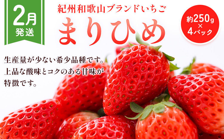 【先行予約】【発送月固定定期便】紀州和歌山産 旬のフルーツ便（いちご・桃・富有柿）【全３回】魚鶴商店《2027年2月上旬-11月末頃出荷》 和歌山県 日高川町 まりひめいちご 紀州和歌山産の桃 富有柿