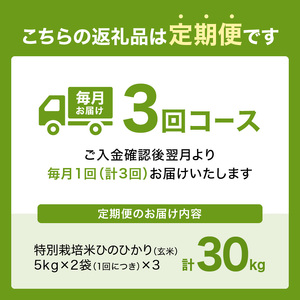 【定期便3か月】特別栽培米 京都府木津川市産ひのひかり 玄米30kg(10kg×3回） 毎日の健康に 053-38