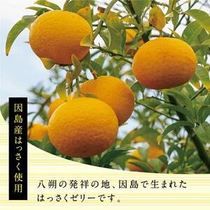 因島のはっさくゼリー72個入り ゼリー