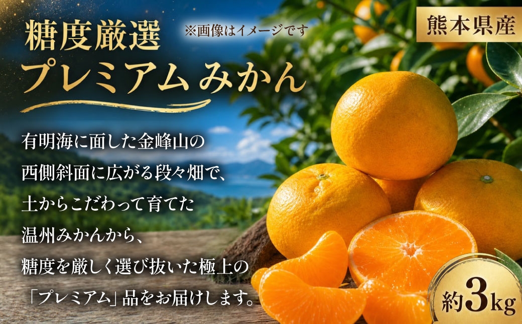 
                  【 熊本県産 】 糖度厳選 プレミアムみかん 約3kg 温州みかん 果物 フルーツ 果実 果汁 果肉 国産 産地直送 【 2027年2月下旬まで発送予定 】
                