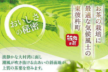 そのぎ茶 定期便 毎月 アルミボトル 290ml 24本 9回 総計216本