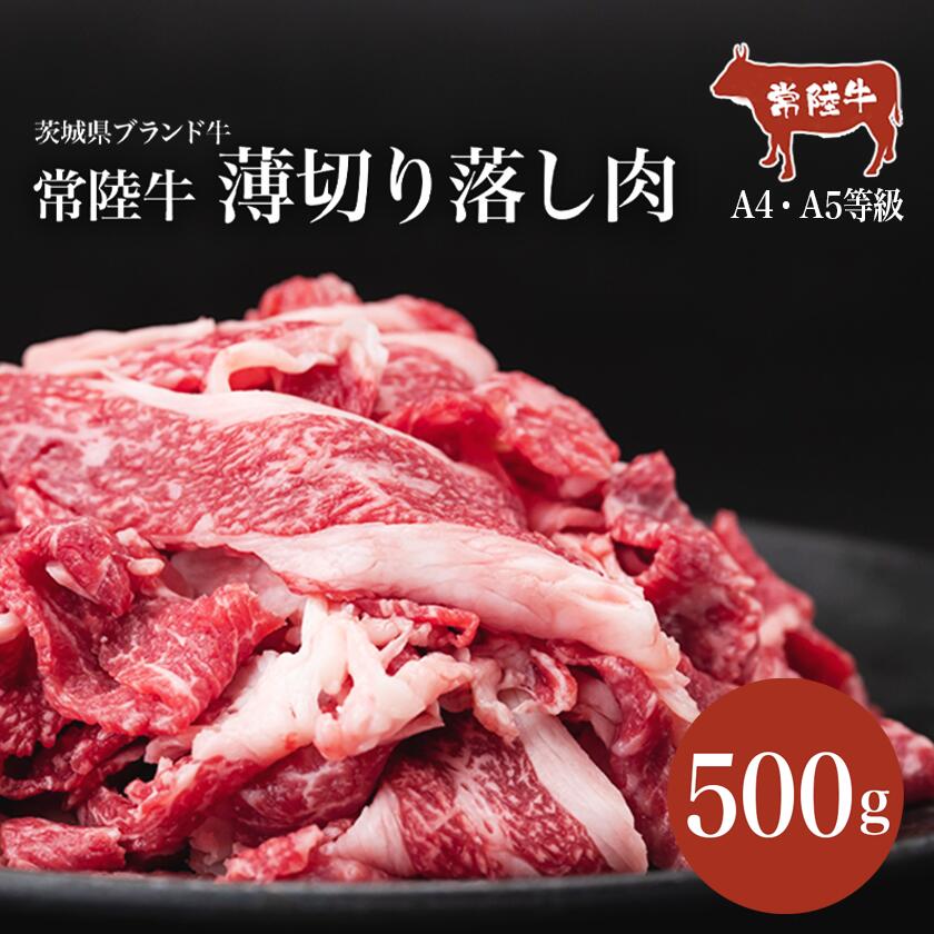 【ふるさと納税】常陸牛A4・A5規格　薄切り落し肉 500g＜離島・沖縄配送不可＞| 茨城県 つくば市 牛肉 常陸牛 肉 ブランド肉 和牛 切り落とし 薄切り すきしゃぶ しゃぶしゃぶ 牛丼 煮物 茨城県産 国産 地産地消 料理 冷凍 人気 おすすめ 10000 10000円 1456544