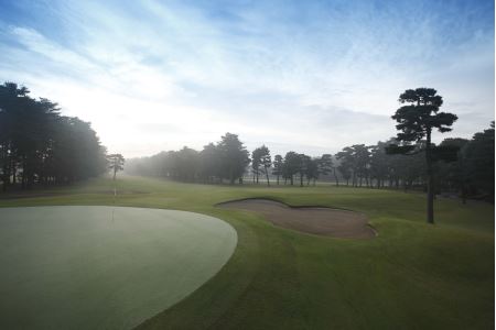 【会員限定】大利根カントリークラブ利用券＊90000円（利用券3000円×30枚） ／ ゴルフ golf GOLF ごるふ ゴルフ場 チケット ちけっと 体験 プレー券 利用券 ゴルフ場利用券 記憶に