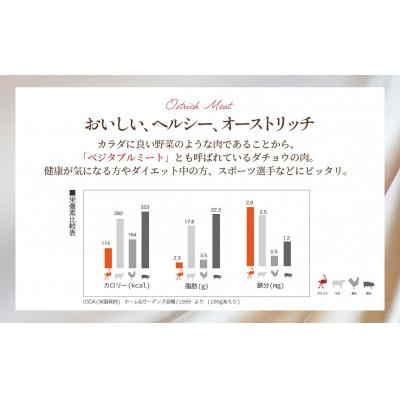 ふるさと納税 美里町 国産オーストリッチハツ　700g ◆ダチョウ肉 |  | 01
