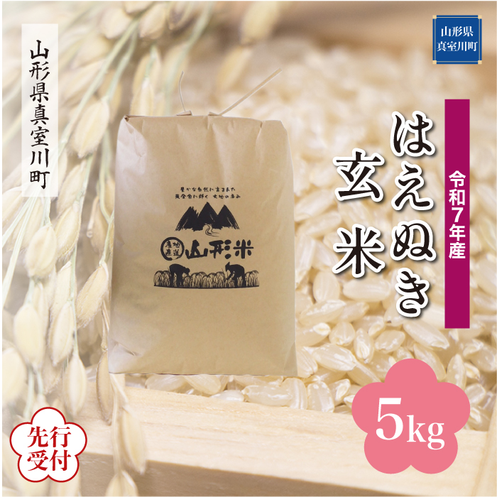 ＜令和7年産米先行受付＞ 真室川町産 はえぬき 【玄米】 5kg （5kg×1袋） 配送時期指定できます！