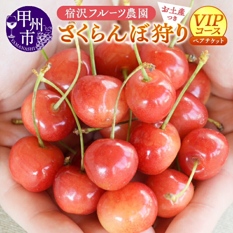 【ふるさと納税】 ペア チケット さくらんぼ狩り 2026年分 VIPコース お土産付き 利用券 宿沢フルーツ農園 新鮮 果物 フルーツ さくらんぼ レジャー 観光 旅行 体験 山梨県 甲州市 （SF） 【D-145】