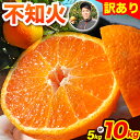 【ふるさと納税】不知火 熊本のブランド果実 不知火 訳あり 約5kg (20玉前後) または 約10kg (40玉前後) 未来来農園 《4月上旬-4月下旬頃出荷》熊本県 葦北郡 津奈木町 みかん 5kg 10kg 訳あり デコポン でこぽん フルーツ 柑橘 しらぬい