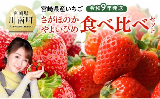 果物 【令和9年発送】　宮崎県産いちご　「さがほのか＆やよいひめ」食べ比べセット 【 先行予約 期間限定 果物 イチゴ 苺 フルーツ 】 [B03801]