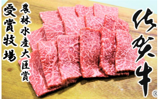 
【佐賀牛】赤身焼肉500ｇ
