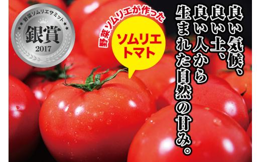 【特別栽培農産物】ソムリエミニトマト・プラチナ&ダイヤ 1.6kg | 野菜 やさい トマト とまと 銀賞 熊本県 玉名市