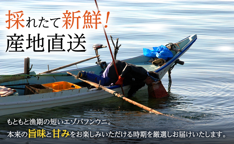 北海道 礼文島産 採れたて ミョウバン不使用 エゾバフンウ