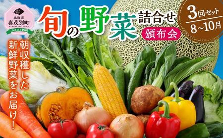 【ニセコ町産】旬の野菜詰合せ3回セット(頒布会)  2024年8月～10月発送 【先行予約】