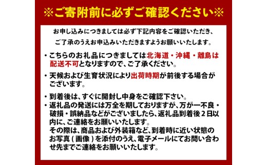 ＜定期便＞ 大分県産 旬のフルーツ定期便 (全4回・総量9kg) ブルーベリー シャインマスカット 温州みかん いちご 果物 定期 大分県産 国産 柑橘 みかん ぶどう ＜北海道・沖縄・離島配送不可＞ 【opng014】【全国農業協同組合連合会 大分県本部】