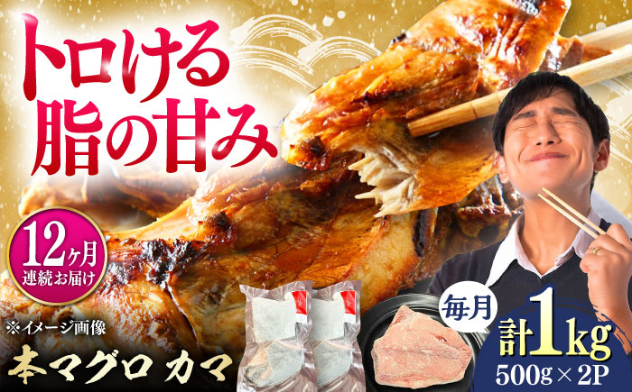 【全12回定期便】対馬産 本マグロ カマ 1kg ≪対馬市≫【桐谷商店】 トロの華 対馬 新鮮 マグロ かま 鮪 [WAQ098]