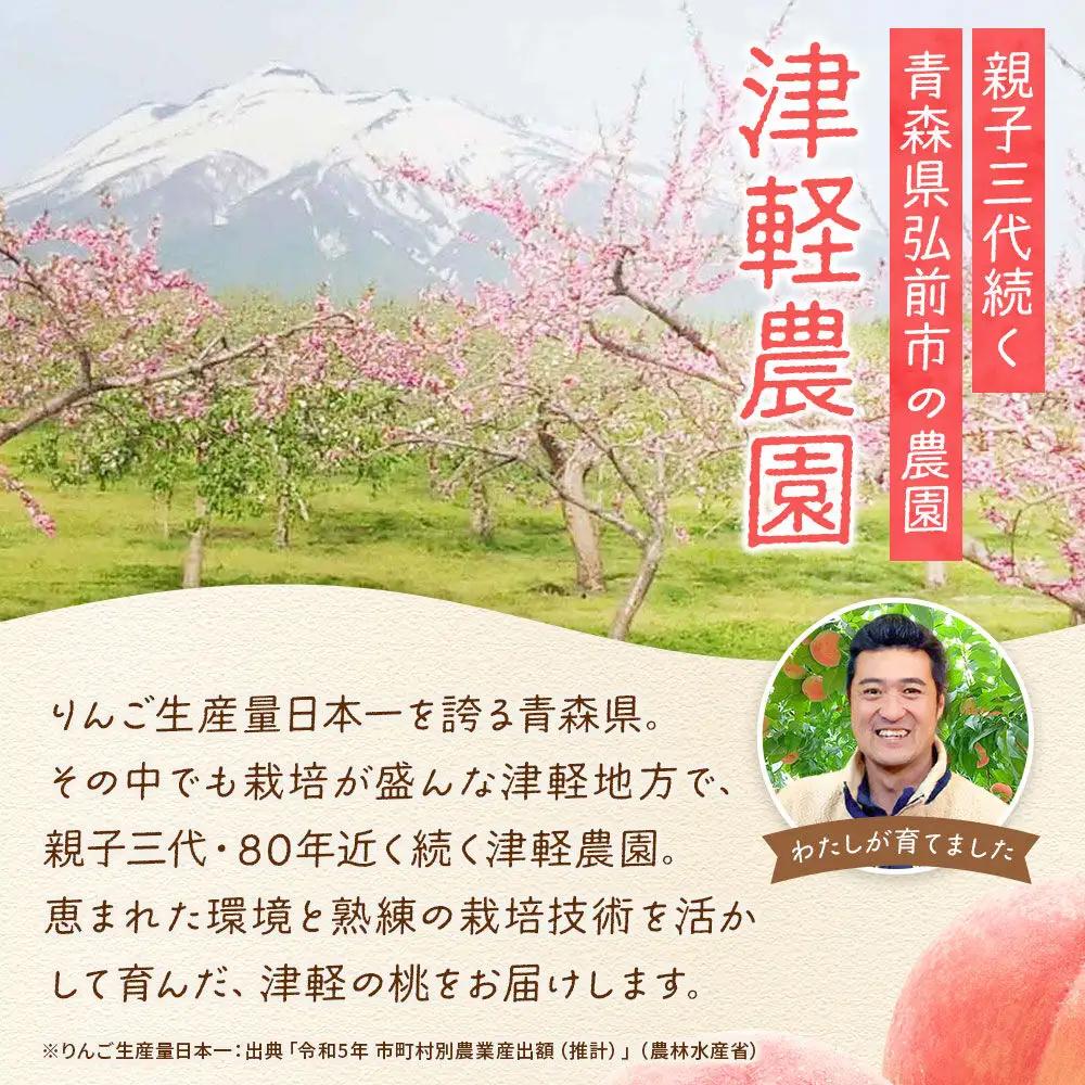 桃 さくら白桃 約1.5kg(5玉程度)【9月発送】桃