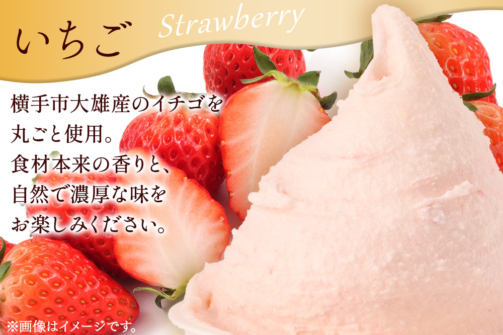 ジェラート詰合せ 人気フレーバーセット（ミルク・イチゴ・チョコ・抹茶）約100g×8個（各種2個ずつ）