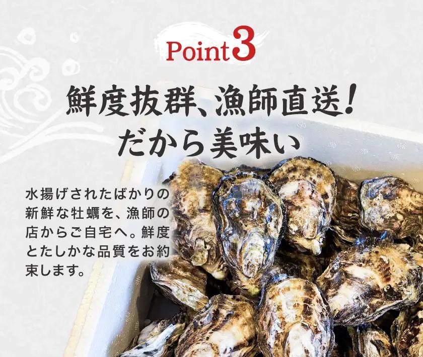 牡蠣 TAKIOKAプレミアム 三倍体 (加熱用) 15個 牡蠣