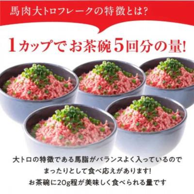 ふるさと納税 合志市 馬肉大トロフレーク 300g 約100g×3カップ(合志市) |  | 01