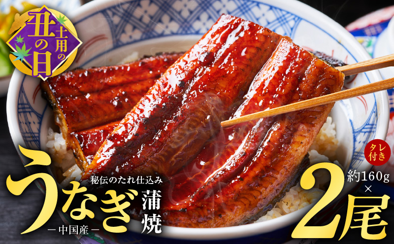 【土用の丑の日までにお届け】秘伝のたれ仕込み うなぎ蒲焼 合計 320g（約160g×2尾）鰻 ウナギ 中国産 温めるだけ 簡単 レンジ調理 ふっくらふわふわ 炭火焼き 備長炭 手焼き 先行予約