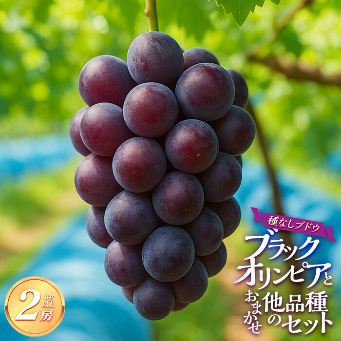 【ふるさと納税】266.【品種はおまかせ】ブラックオリンピアと他品種のセット（種なし） 1kg以上※2025年8月下旬頃より順次発送予定 | 葡萄 ぶどう 旬 果物 フルーツ 新鮮 鳥取 おすすめ 人気