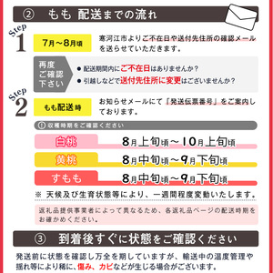 《先行予約》令和8年産 山形の黄桃 秀品 2kg（5 - 9玉） 品種おまかせ 2026年産 山形県産【2026年8月中旬頃から9月下旬頃発送予定】※ 配送不可 沖縄・離島　013-B-MM017