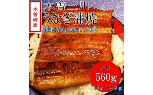 
「2024年4月発送」木曽岬産「木曽三川うなぎ」うなぎ蒲焼5枚(各100g)+おまけ(60g)付【1470887】
