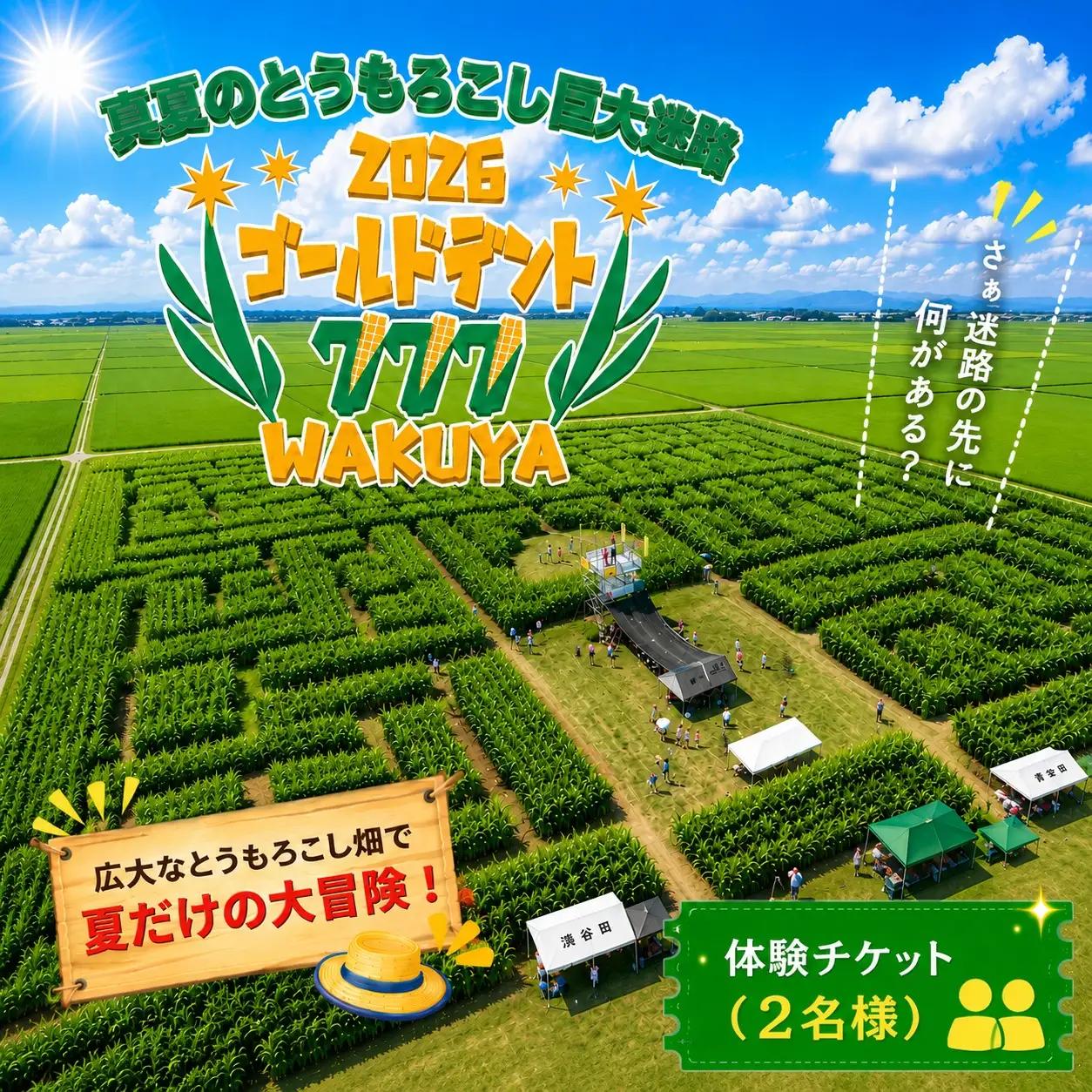 真夏のとうもろこし巨大迷路2026ゴールドデント777WAKUYA｜とうもろこし 体験 迷路 涌谷町【saito006】