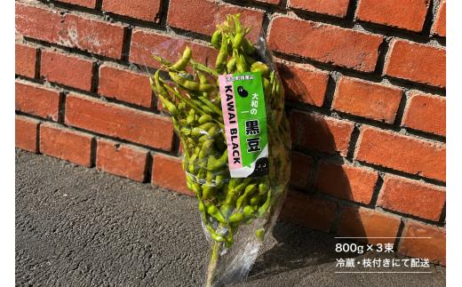 【2026年10月下旬出荷限定】幻の枝豆 大和の黒豆 KAWAI BLACK 2.4kg (800g×3束) 数量限定 枝豆 枝付き 奈良県 奈良 返礼品 えだまめ エダマメ 冷蔵 お取り寄せグルメ ご当地グルメ 豆 特産品 名産品 おつまみ 食品 河合町