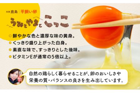 たまご 鶏卵 佐賀県鹿島産 平飼い卵「うみとやまとこっこ」上田養鶏場 たまご40個 卵 タマゴ 生卵 玉子焼き 卵焼き 玉子焼き 佐賀産 国産 たまご 美味しい卵 B-390