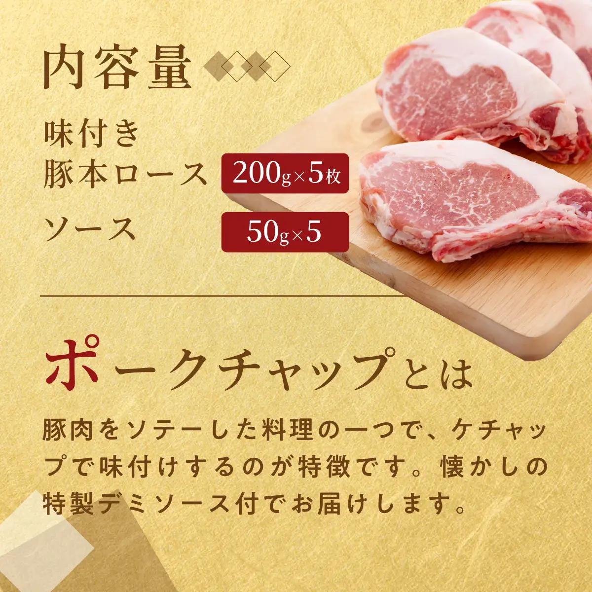 カネカン竹内 ポークチャップ（懐かしの特製デミソース付）200g×5枚 MROA057