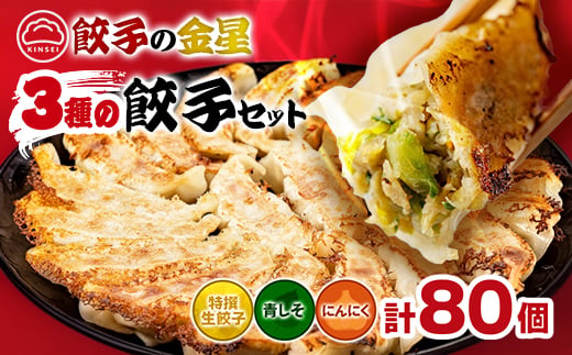 【餃子の金星】3種の餃子80個入り 特撰生餃子と2種類(青じそ・にんにく)が味わえるセット タレ付!_餃子 冷凍 美味しい 人気 おすすめ 送料無料 ご当地 グルメ【1208344】