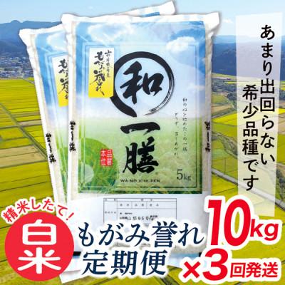 ふるさと納税 最上町 【毎月定期便】買い忘れなしで美味しいもがみ誉れ10kg(白米)が届く全3回
