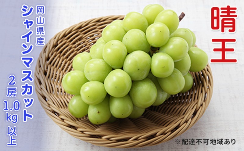 ぶどう  2026年 先行予約 シャインマスカット 晴王 2房 合計1.0kg以上  ブドウ 葡萄  岡山県産 国産 フルーツ 果物 ギフト