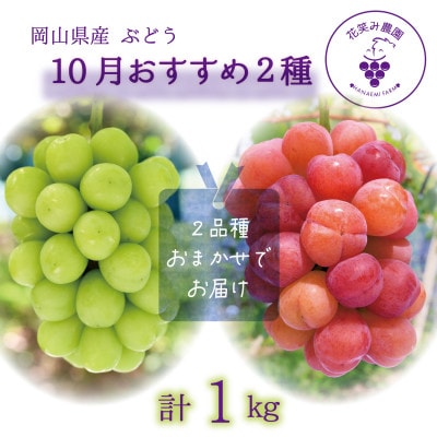 【2026年先行受付】岡山　花笑み農園のブドウ『10月おすすめ 2種セット』1kg(2房)2M-1L【配送不可地域：離島・北海道・沖縄県】